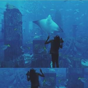 Meet your Posher, Alexa